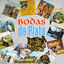 Cover Bodas de Plata, Canciones de Oro