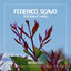 Cover Poseidon