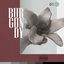 Cover Burgundy