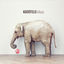 Cover Lollipop
