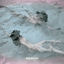 Cover The Sirens