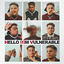Cover HELLO I'M VULNERABLE