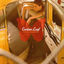 Cover Indian Summer
