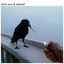 Cover White Wine & Adderall
