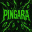 Cover PINGARA!