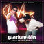 Cover Bierkapitän (Felix Harrer Remix)