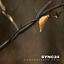 Cover Comfortable Void