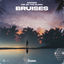 Cover Bruises
