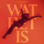 Cover Wat Het Is