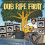Cover Dub Ripe Fruit