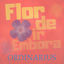 Cover Flor de Ir Embora