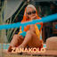 Cover Zanakolo