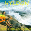 Cover Soul Brasileiro