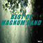 Cover Best of magnum band (Vol.5)