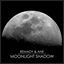Cover Moonlight Shadow