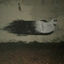 Cover The Ghost / A Seed a Day
