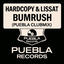 Cover Bumrush
