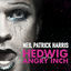 Cover Hedwig And The Angry Inch Original Broadway Cast Recording