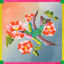 Cover Embrasse-fleurs