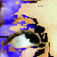 Cover look