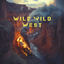 Cover Wild Wild West