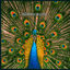 Cover Expecting To Fly