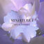 Cover Miniature I