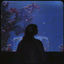 Cover IRIS