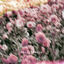 Cover for you