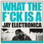Cover What the F**K Is a Jay Electronica