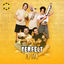 Cover Perfect