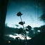 Cover letting go