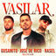 Cover Vasilar
