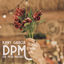 Cover DPM (De Pxta Madre)