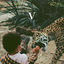 Cover V