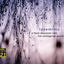 Cover Takemitsu: Quatrain; A Flock descends