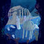 Cover Whales