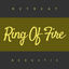 Cover Ring of Fire (Acoustic)