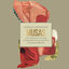 Cover Musas (Un Homenaje al Folclore Latinoamericano en Manos de Los Macorinos, Vol. 1)
