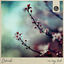 Cover No Way Back