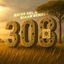 Cover 308