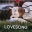 Cover LoveSong
