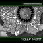 Cover Urban Forest