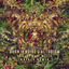 Cover Shamanic (Noface Remix)