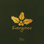 Cover Evergreen