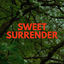 Cover Sweet Surrender