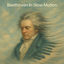 Cover Beethoven In Slow Motion