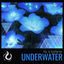 Cover Underwater