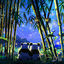 Cover Bamboo Breeze