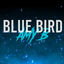 Cover Naruto Shippuden Blue Bird